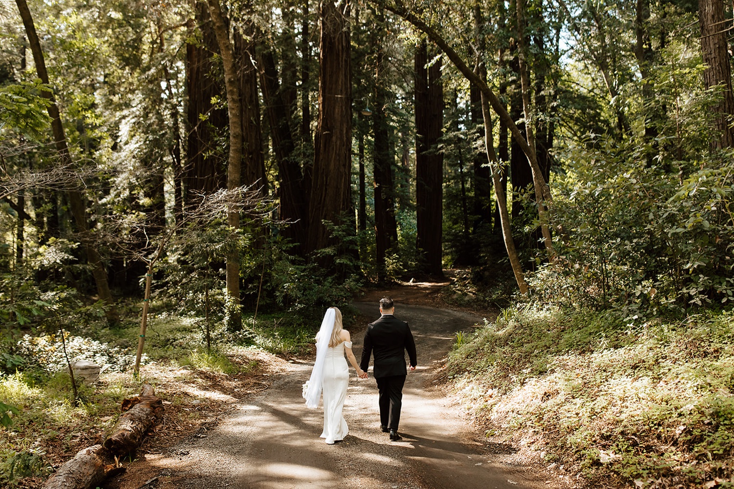 Glen Oaks Big Sur 2