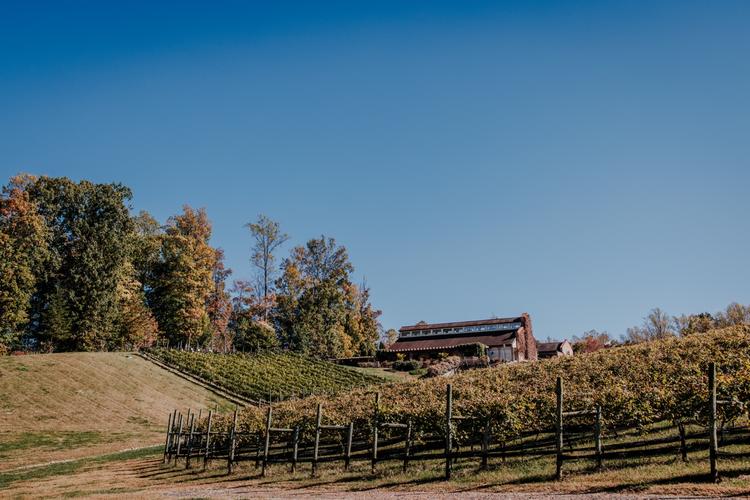 Beautiful, Fun Autumn Wedding at Potomac Point Winery (Stafford, VA)/  Ainsley & Andrew