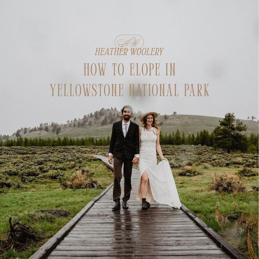 Yellowstone Pack of 10 Cups - The Arrangement