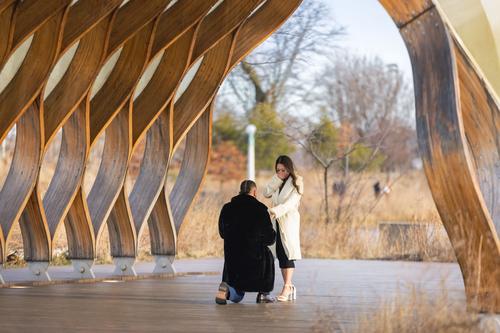 How to Propose at Lincoln Park Honeycomb Chicago — Caleb