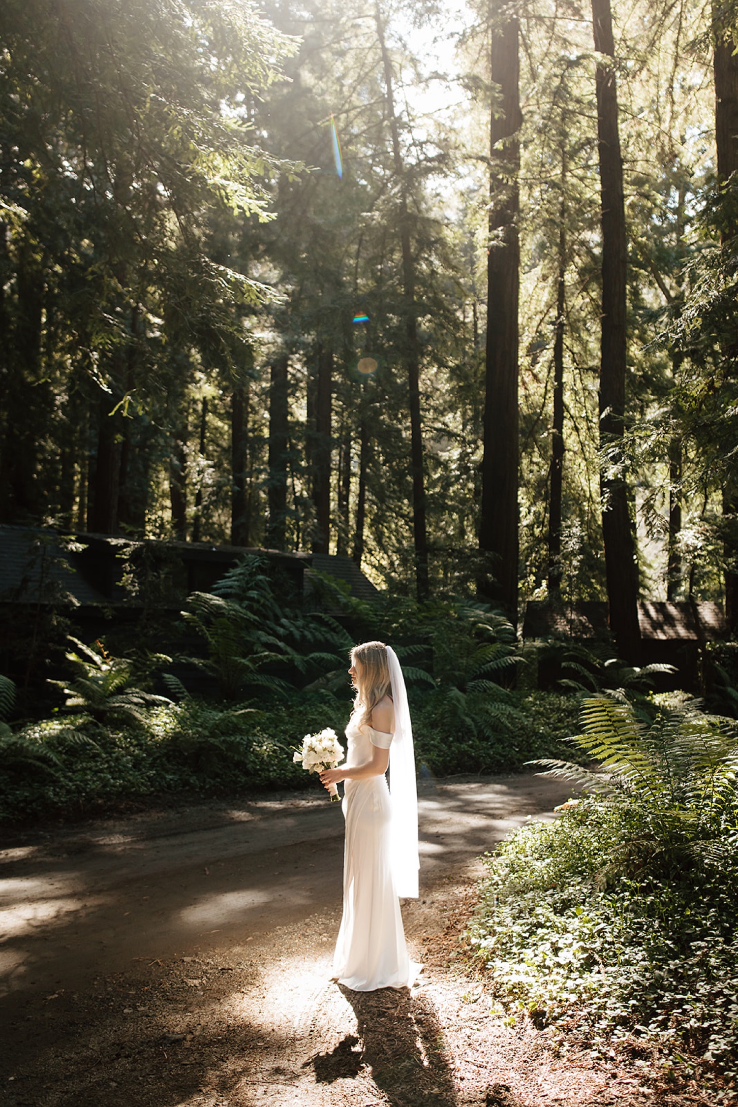 Glen Oaks Big Sur 3